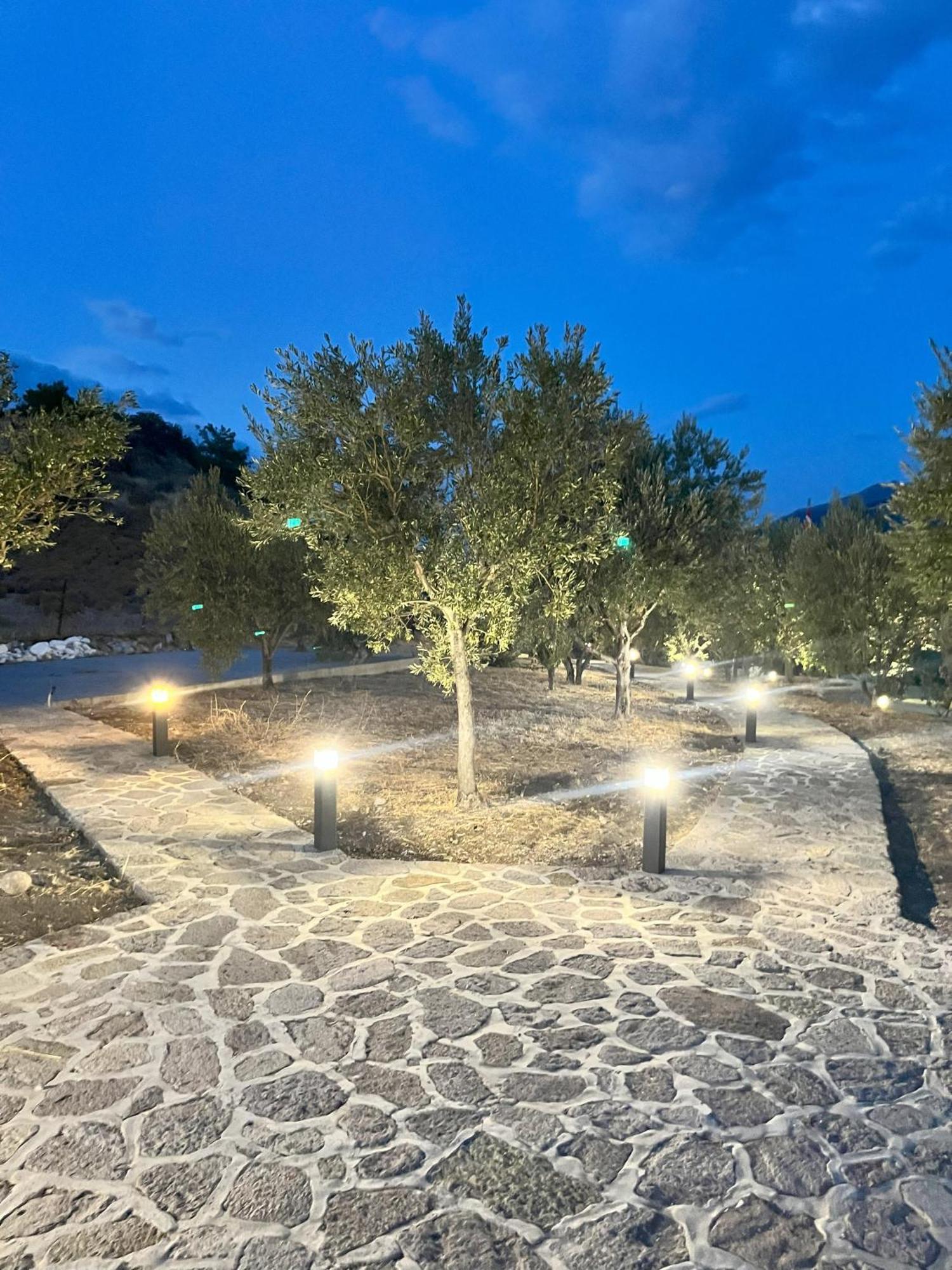 Hotel Defkalion Petra  Zewnętrze zdjęcie